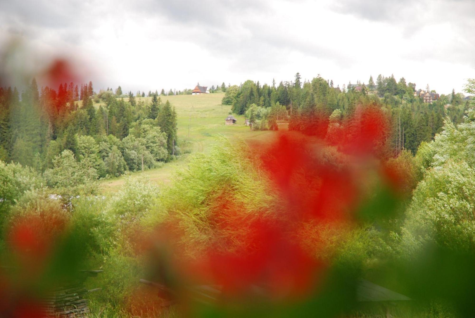 "Czarna Turnia "Zakopane Bed & Breakfast Exterior photo